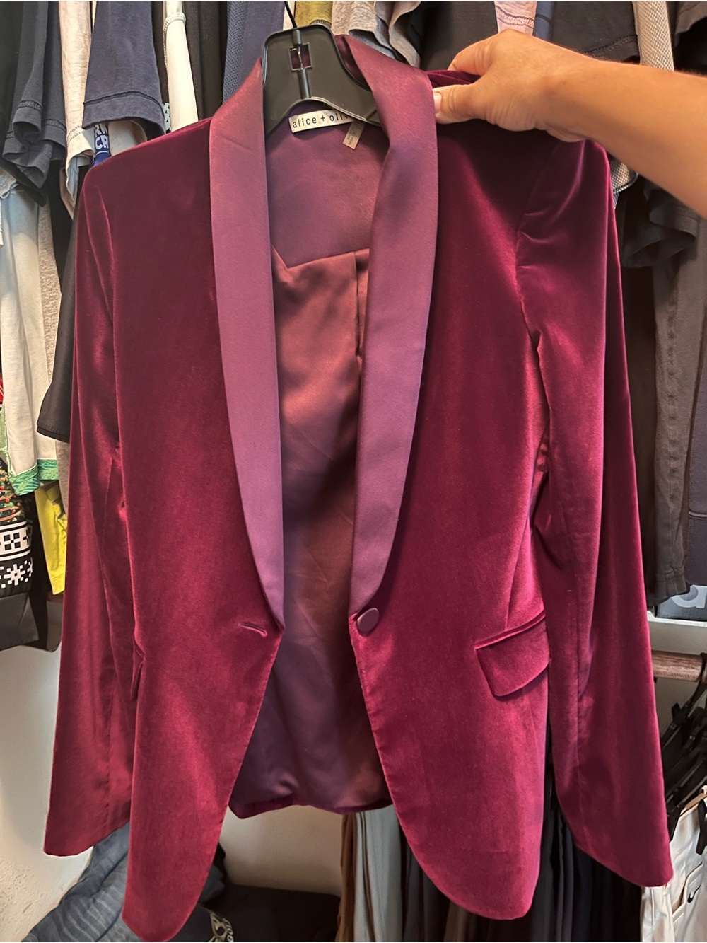 Alice + Olivia Velvet Blazer in Deep Wine